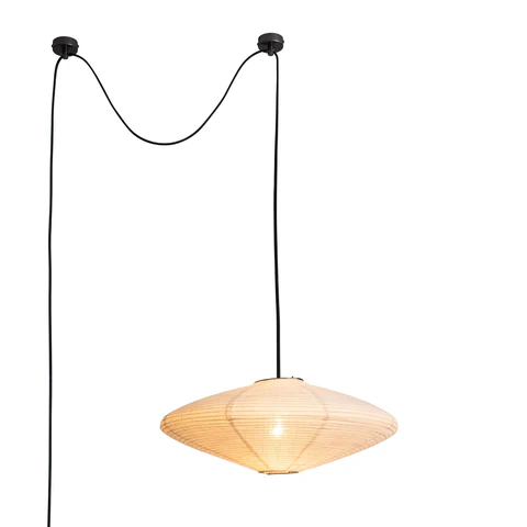 Roswell Swag Pendant Light - Image 4