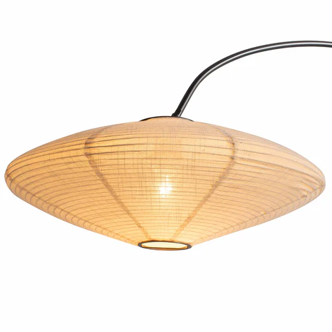 Roswell Arc Floor Lamp with 1 Light - Image 4