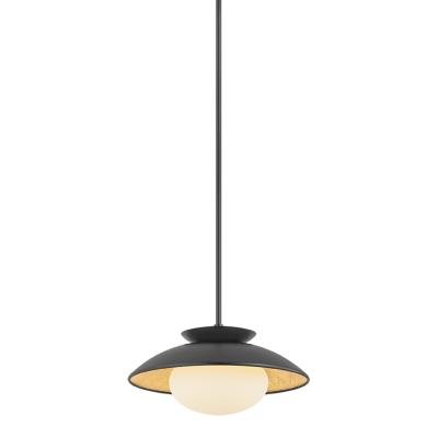 Matte Finish Pendant Light
