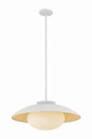 Matte Opal Hanging Light