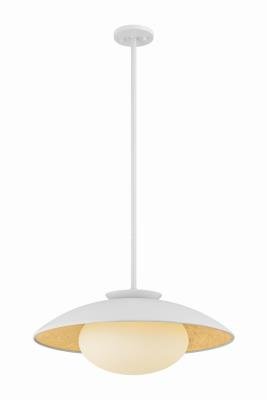 Matte Opal Hanging Light