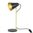 Lusaka Adjustable Brass and Steel Table Lamp